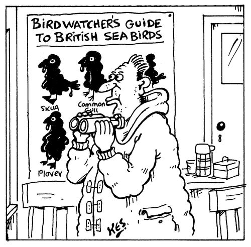 Bird watcher's guide depicts birds covered in crude oil.