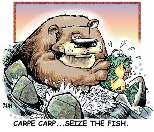 Carpe carp...Seize the fish.
