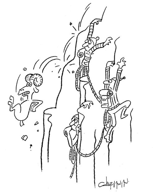 Things you don't want to see...(mountain goat falls past climbers).