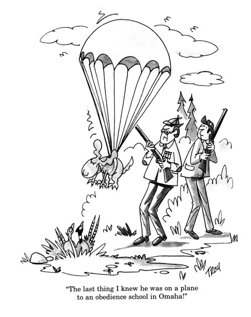 'The last thing I knew he was on a plane to an obedience school in Omaha!'