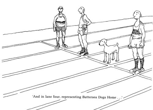 'And in lane four, representing Battersea Dogs Home...'