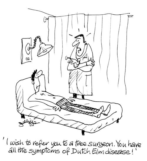'I wish to refer you to a tree surgeon. You have all the symptoms of Dutch Elm disease!'