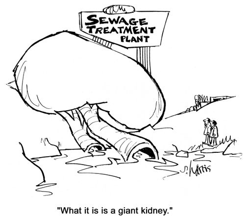 'What it is is a giant kidney.'
