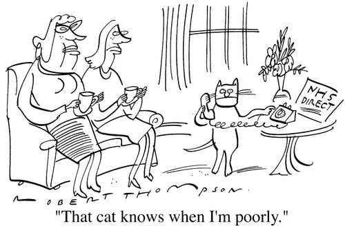 "That cat knows when I'm poorly"