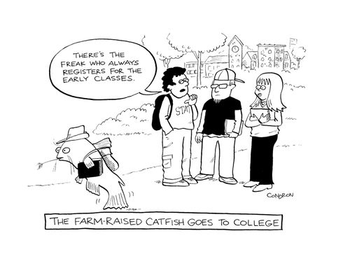 The farm-raised catfish goes to college