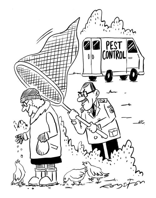 Pest controller tries to catch old woman who is exacerbating the problem by feeding birds.