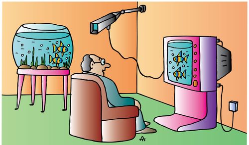 Man Watches Live Feed of his Aquarium on Television