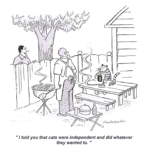 'I told you that cats were independent and did whatever they wanted to.'