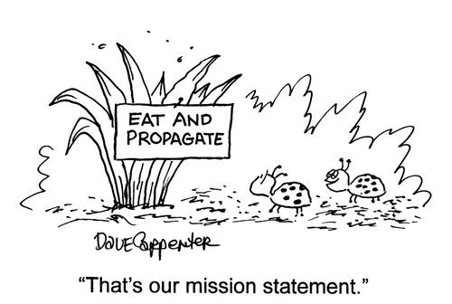 'That's our mission statement.'
