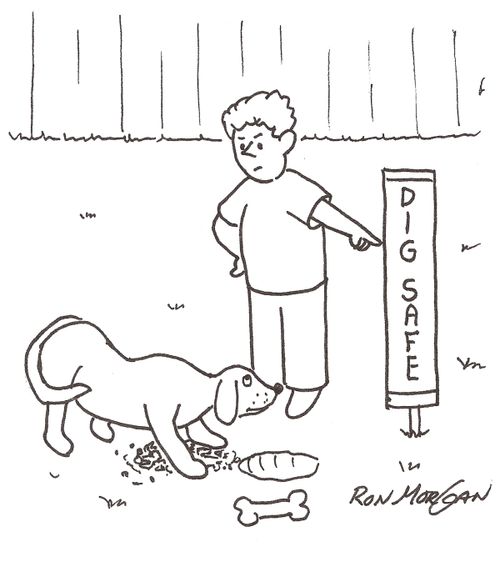 Boy shows digging dog a Dig Safe sign.