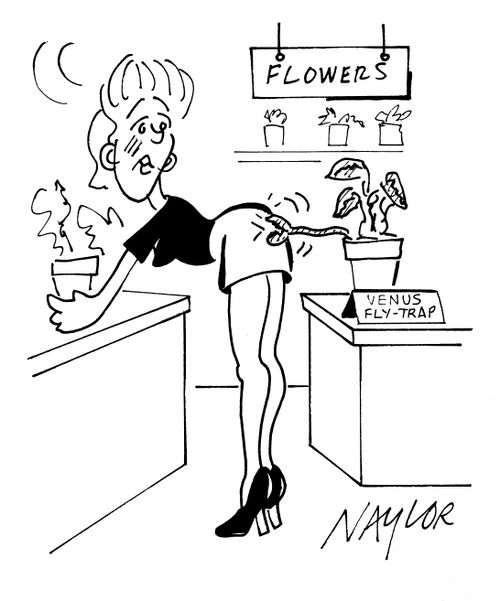 Venus Fly Trap.