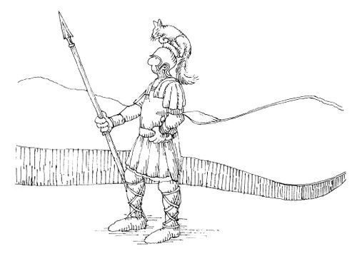 101 uses of a dead cat: helmet