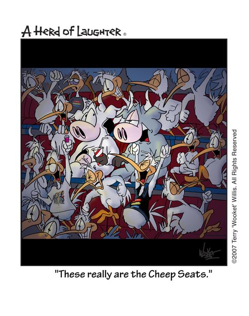 'These really are the Cheep Seats.'