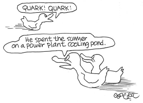 Quark!  Quark! - Duck on power plant pond.