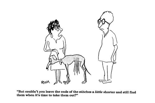 'But couldn't you leave the ends of the stitches a little shorter...'