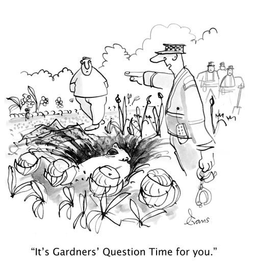 'It's Gardner's Question Time for you.'
