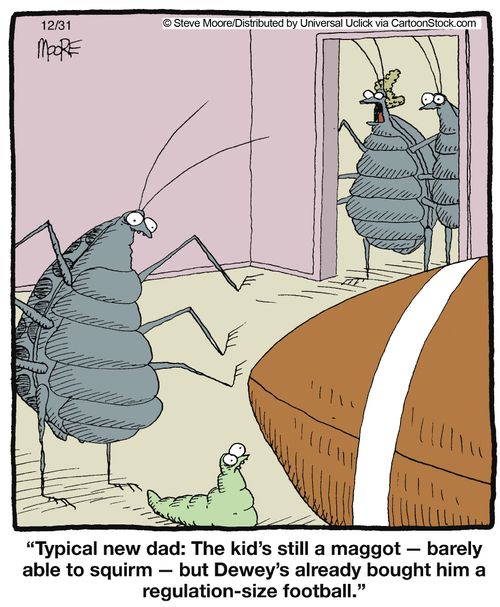 'Typical new dad: the kid's still a maggot - barely able to squirm - but Dewey's already brought him a regulation size football.'