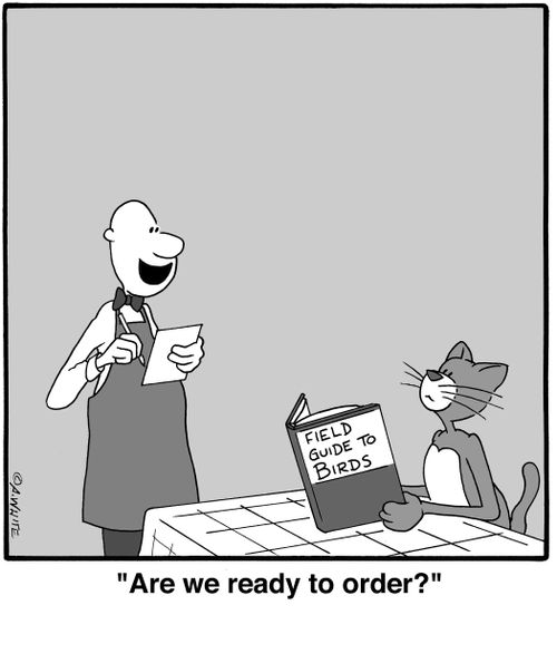 'Are we ready to order?'