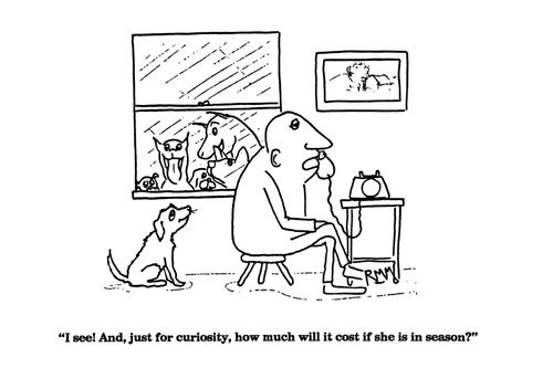 'I see!  And, just how much will it cost if she is in season?'