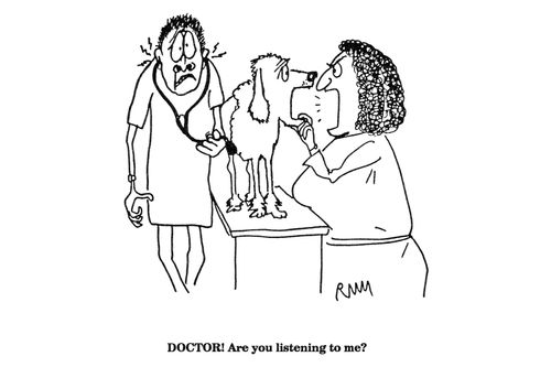 'DOCTOR!  Are you listening to me?'