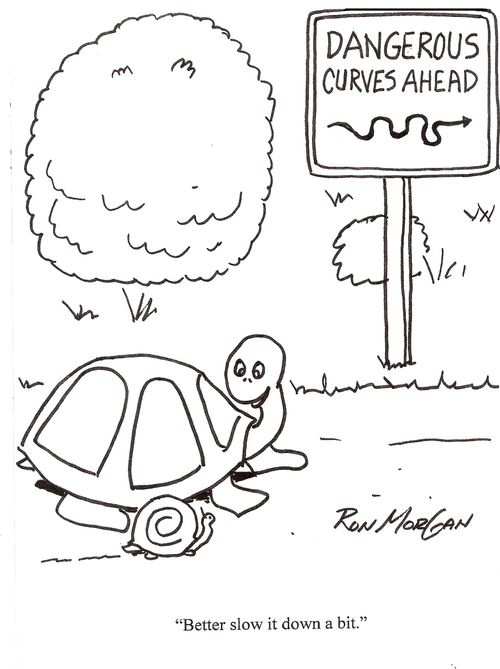 Snail and turtle worry about curves in road.