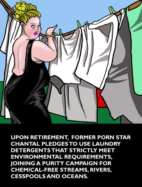 Upon retirement Chantel pledges to use laundry detergents that meet environmental requirements...