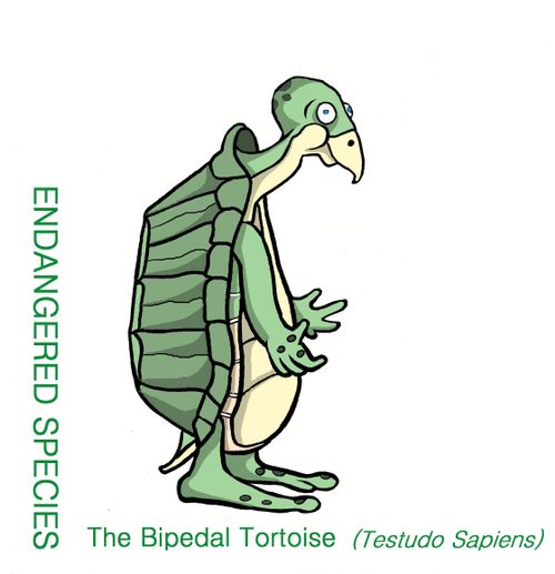 Endangered Species: Bipedal Tortoise.