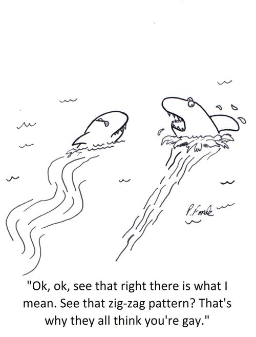 'Ok, ok, see that right there is what I mean. See that zig-zag pattern? That's why they all think you're gay.'