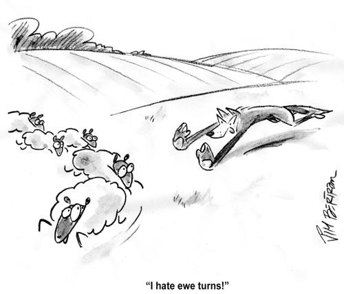 'I hate Ewe turns.'