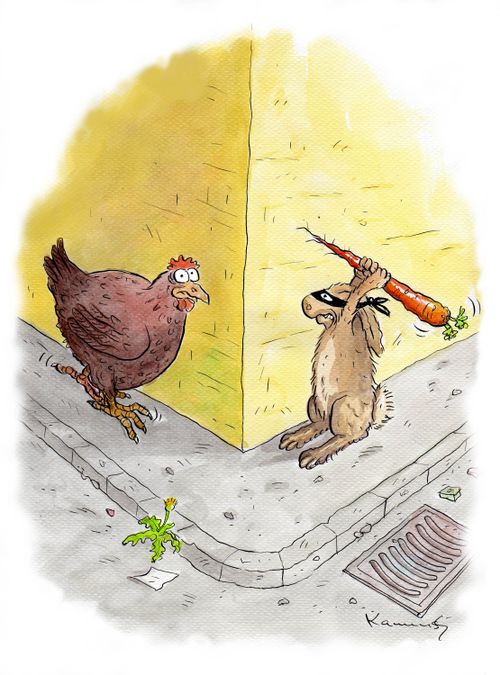 Animal rivalry.