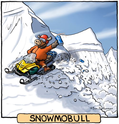Snowmobull