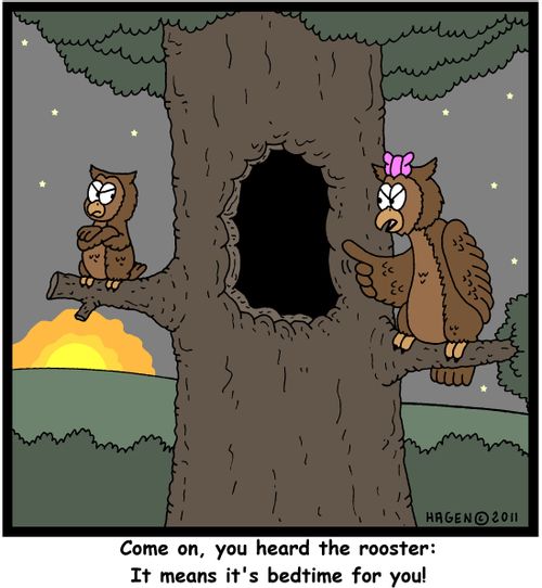 'Come on, you heard the rooster: It means it's bedtime for you!'
