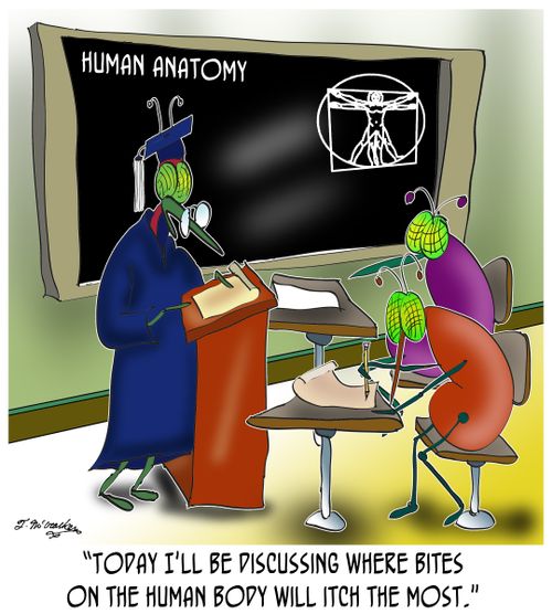 'Today I'll be discussing where bites on the human body will itch the most.'