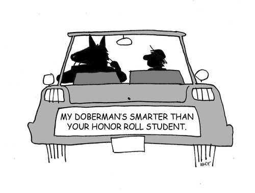 My Doberman's smarter than your honor roll sutdent.
