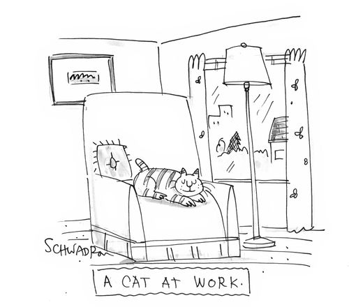A Cat at Work.