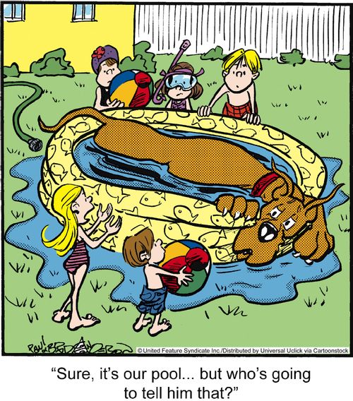 'Sure, it's our pool. . . but who's going to tell him that?'
