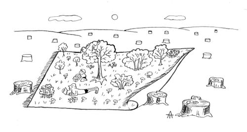 Picnic blankets with pop up trees.