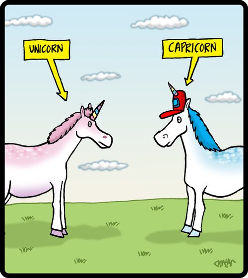 Unicorn/Capricorn