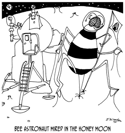 Bee Astronaut Mired in the Honey Moon.