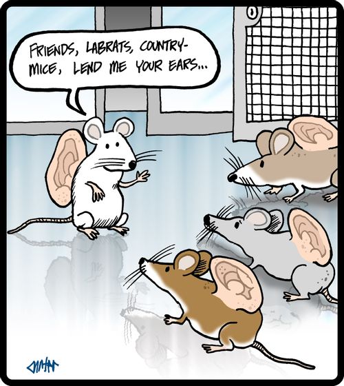 'Friends, lab rats, country mice, lend me your ears...'
