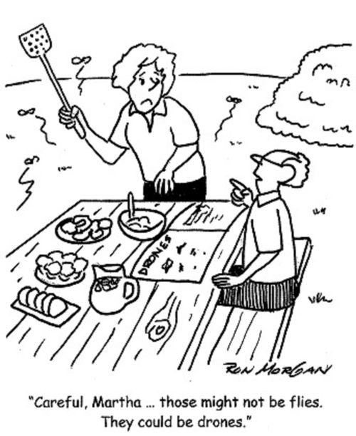'Careful, Martha ... Those might not be flies. They could be drones.'