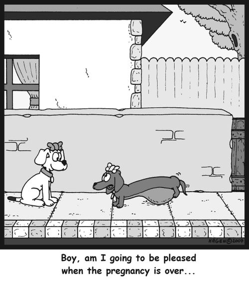 'Boy am I going to be pleased when the pregnancy is over...'