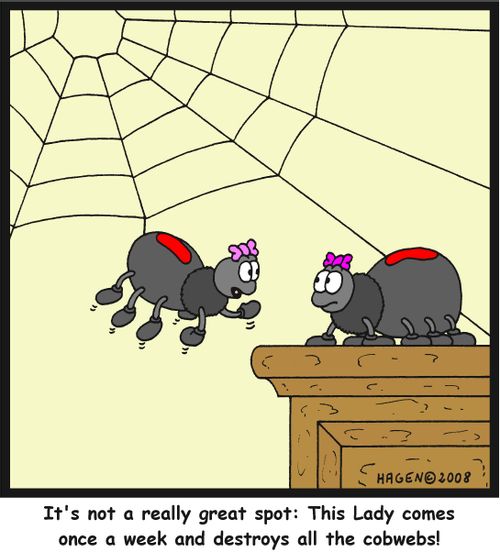 'It's not a really great spot: This Lady comes once a week and destroys all the cobwebs!'