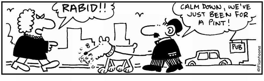 'Rabid dog,' 'Relax, we've been for a pint,'
