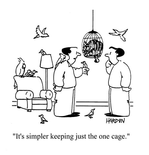 'It's simpler keeping just the one cage.' (Birds are flying free, cat is in the cage).
