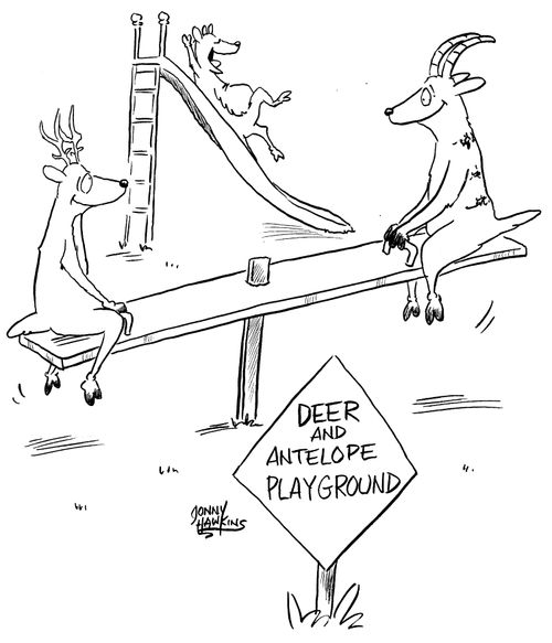 Deer and Antelope Playground