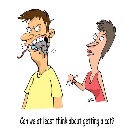Can we at least think about getting a cat?