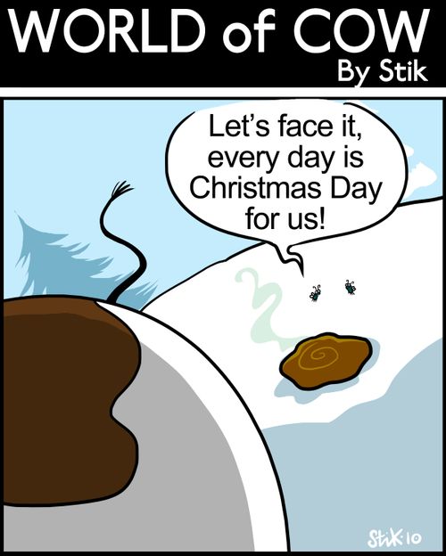 'Let's face it, every day is Christmas Day for us!'