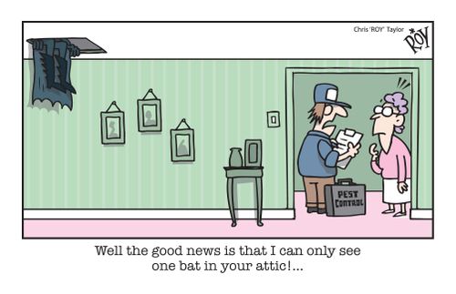 Well the good news is that I can only see one bat in your attic!