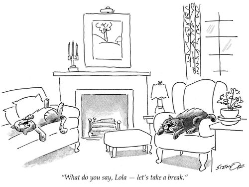 'What do you say, Lola - let's take a break.'